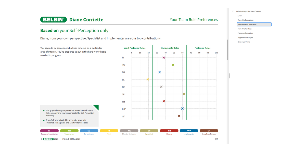 My Belbin Framework